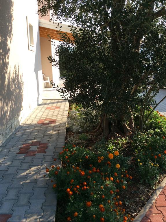 Apartments Franov Bibinje Exterior photo